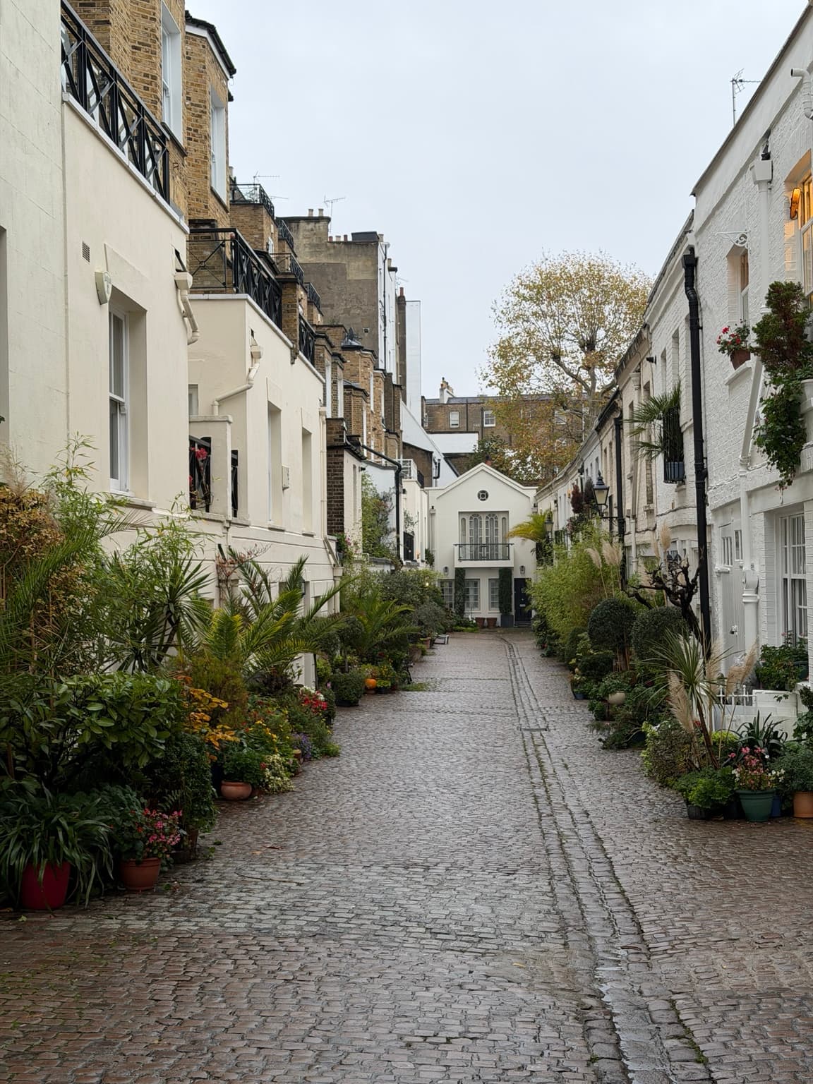 Editorial London photograph of a cobbled mews lined with pale houses and potted plants; not Kula Kensington hotel