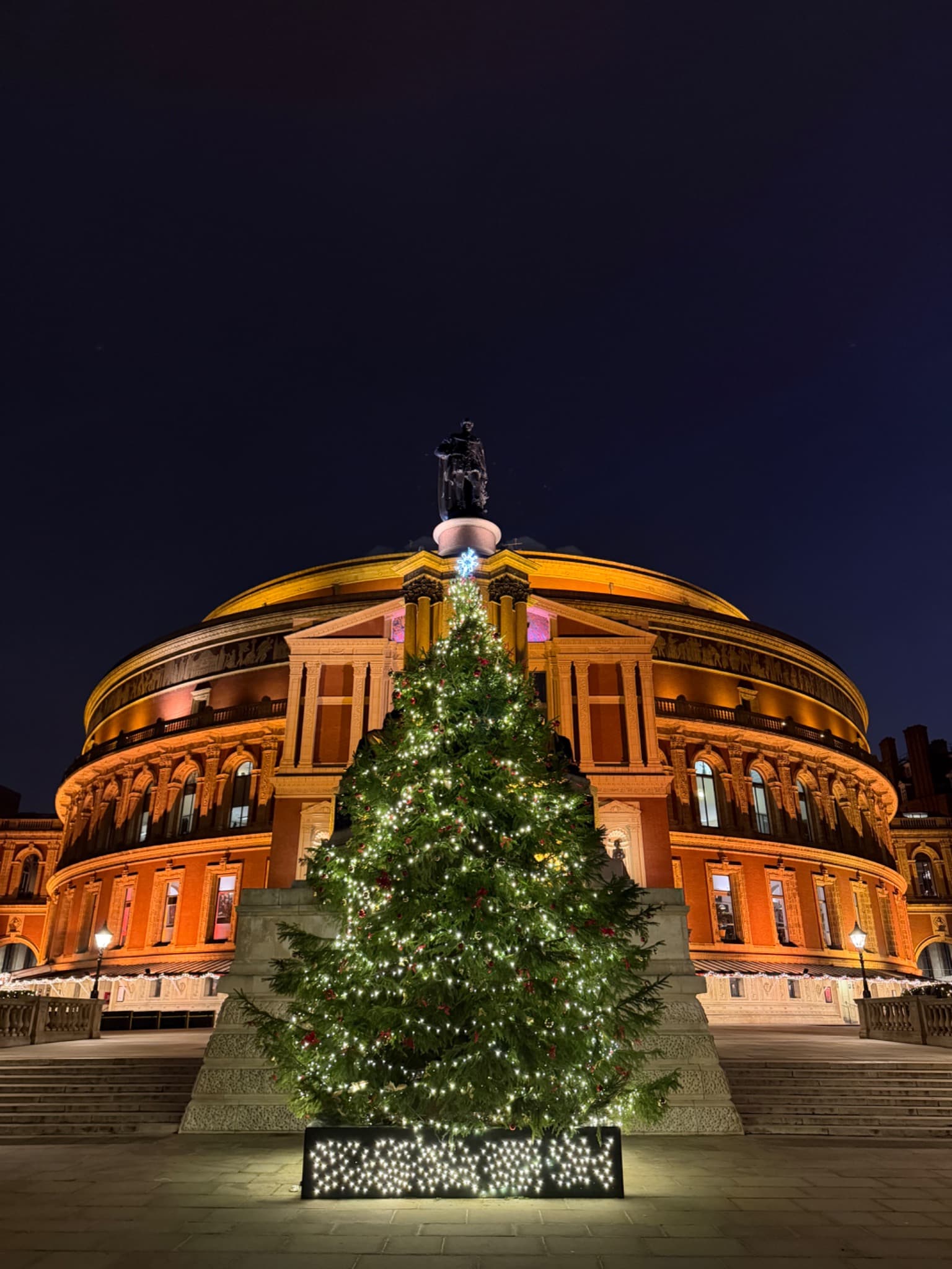 Royal Albert Hall illuminated at night behind a Christmas tree